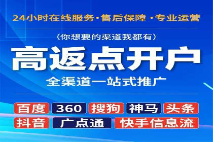 成功SEM推广代运营案例展示