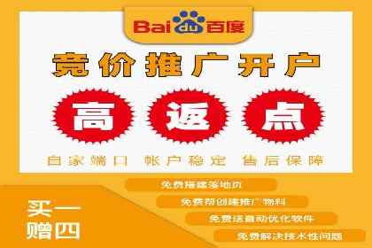 网络推广竞价策略解析与应用案例